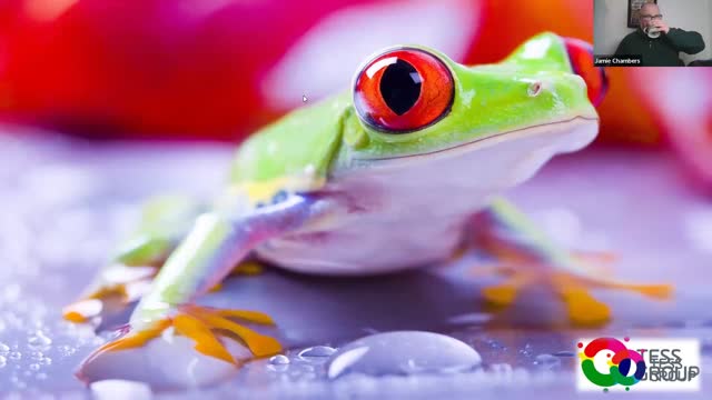 The Boiling Frog — TESS workshop clip
